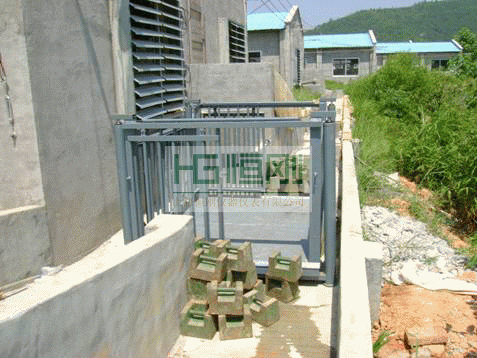 活畜专用地磅秤