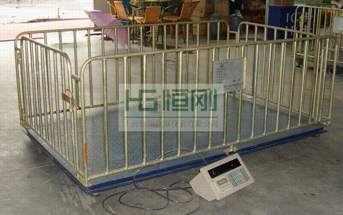 活畜专用地磅秤
