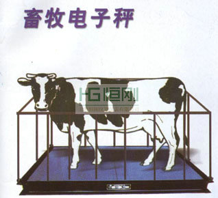 称家禽秤